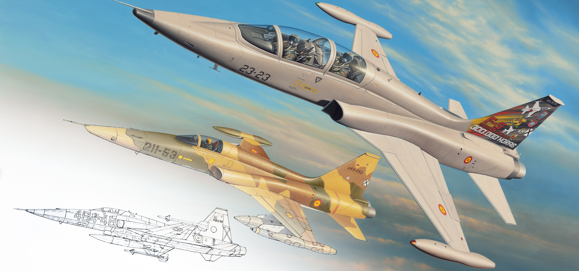 F5 AVIATION PROCESS