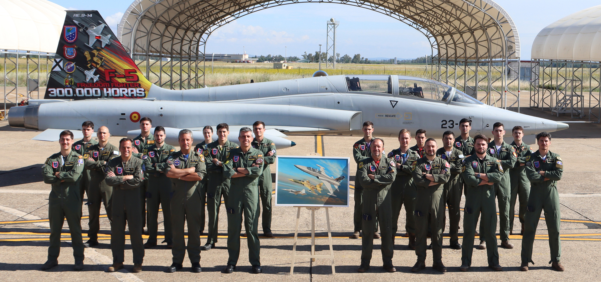 Aviation Art - F5 Ala 23