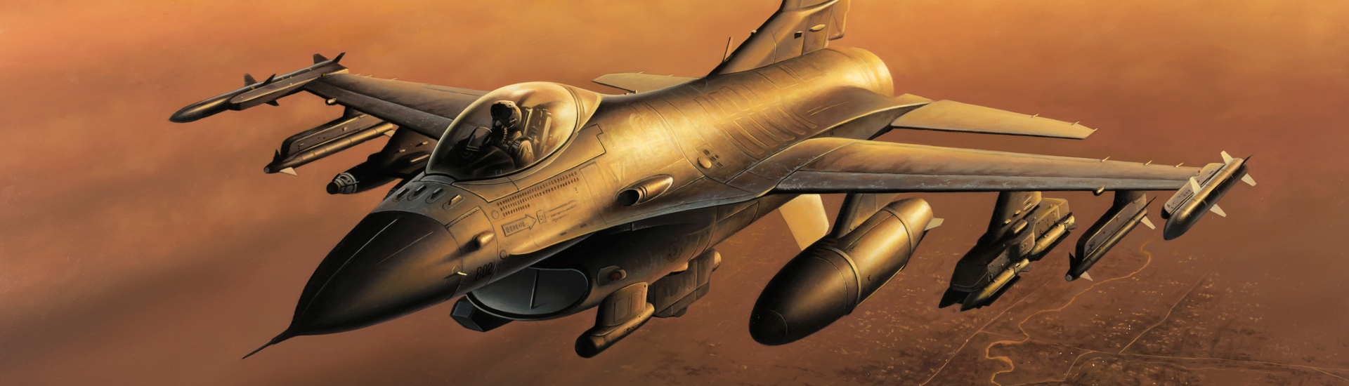 Aviation Art - Fighting Samurai