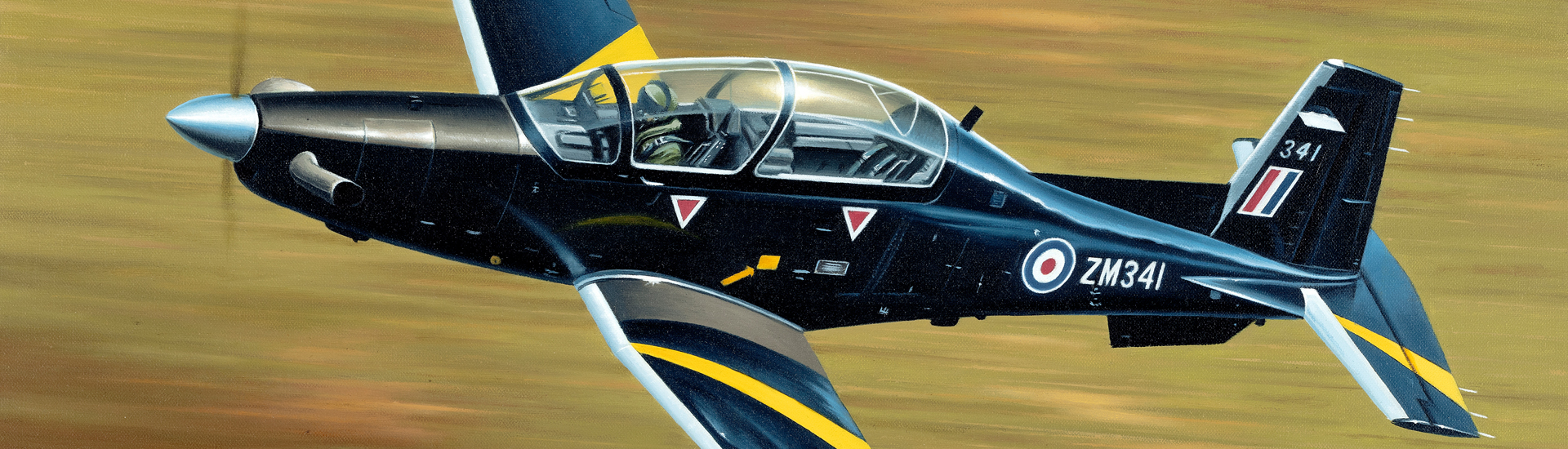 Aviation Art - Gaining Wings